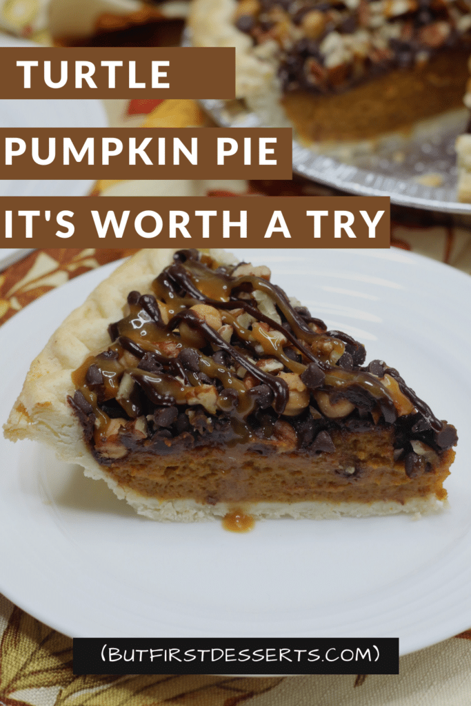 Turtle Pumpkin Pie