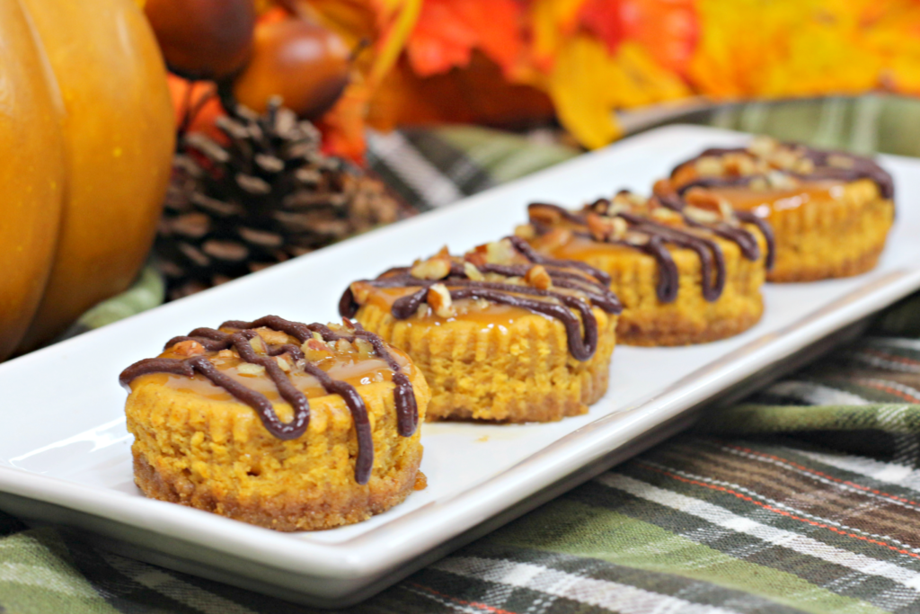 Pumpkin Turtle Cheesecake 