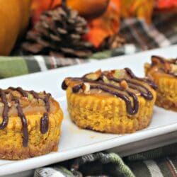 Pumpkin Turtle Cheesecake