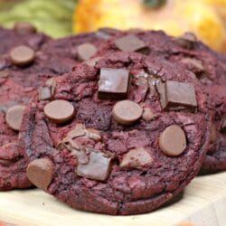 chocolate chip pumpkin