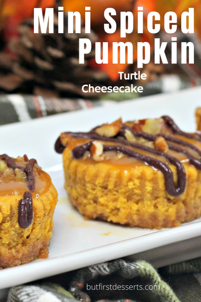 Pumpkin Turtle Cheesecake 